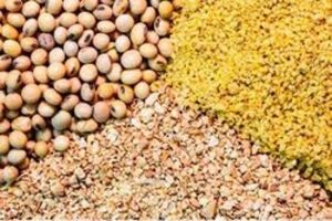 میزان واردات نهاده های دامی امسال چقدر شد؟