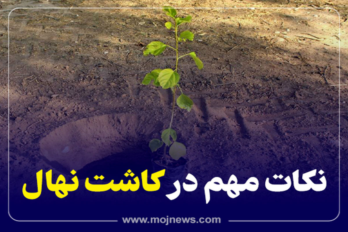 کاور کاشت نهال