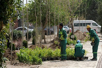 توسعه ۵۸ هکتاری فضای سبز منطقه هشت قم