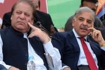 برادر نواز شریف، نخست‌ وزیر جدید می شود؟