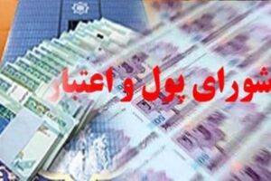 تعیین تکلیف و حذف فعالان غیرمجاز در بازار سرمایه