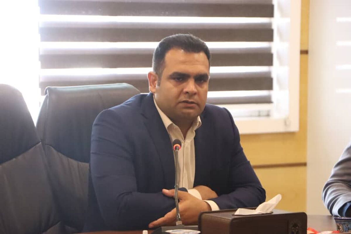 رضا ویسی