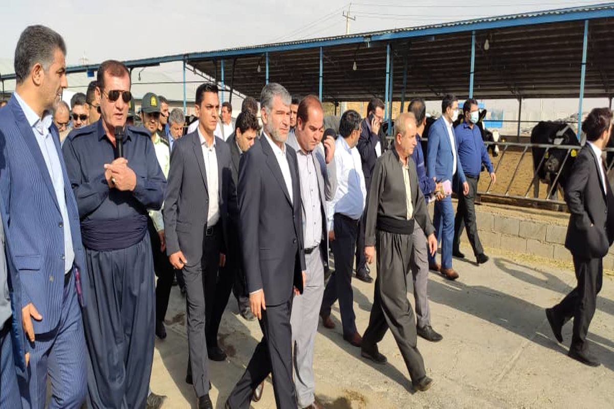 وزیر جهاد کشاورزی در کرمانشاه 