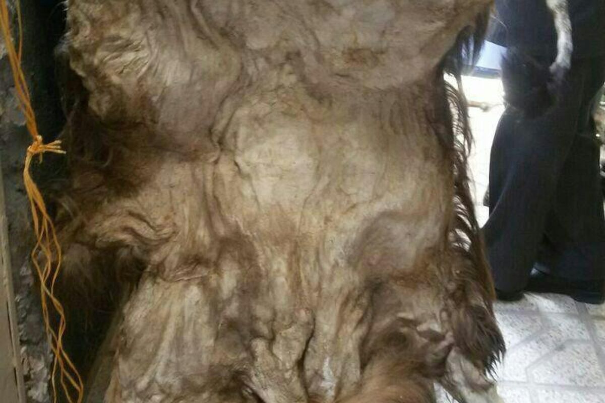 oG1EYm2et3Mw