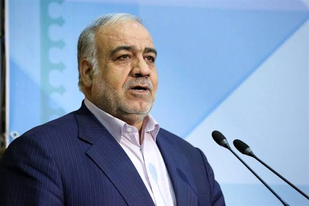 مدیرعامل شرکت ساخت و توسعه زیربناهای حمل‌ونقل کشور 