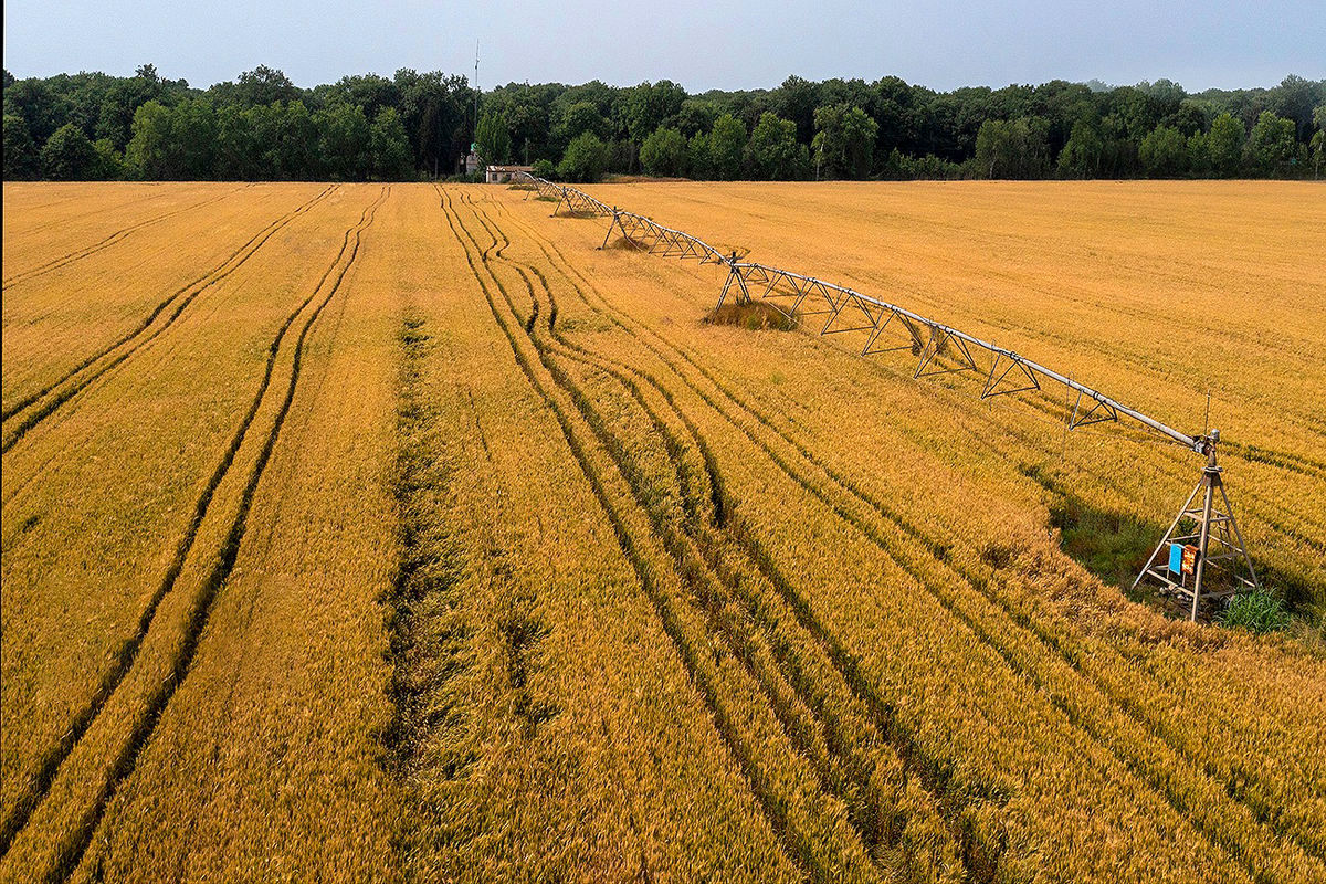 سرشماری کشاورزی