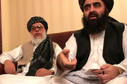 Taliban is seeking peace