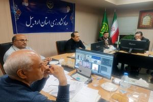 یارانه کالاهای اساسی به سفره مردم منتقل شد؛ ارز ترجیحی حذف و جایگزین آن اعتبار کالابرگ شد