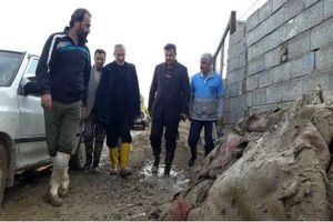 تا خروج از بحران در کنار سیل زدگان هستیم