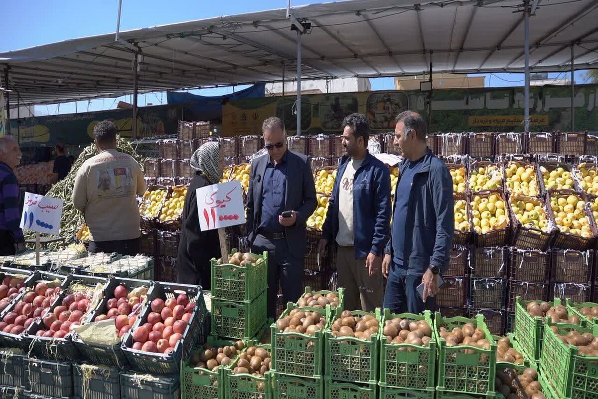 شهرداری شیراز