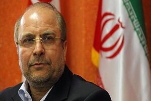 لایحه مدیریت خدمات شهری مسیر خوبی را در دولت طی نمی کند