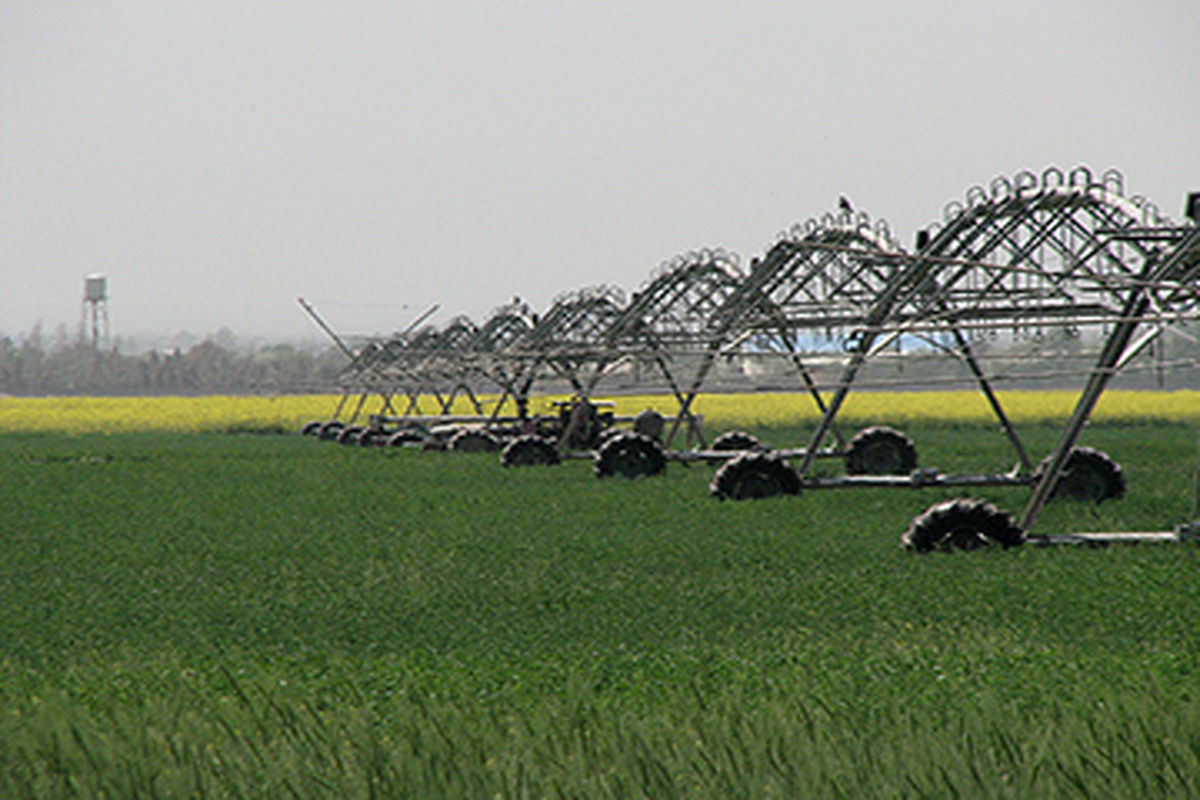 اراضی کشاورزی