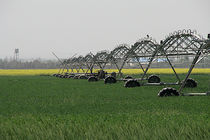 دانش در کشاورزی بر سرمایه مقدم است