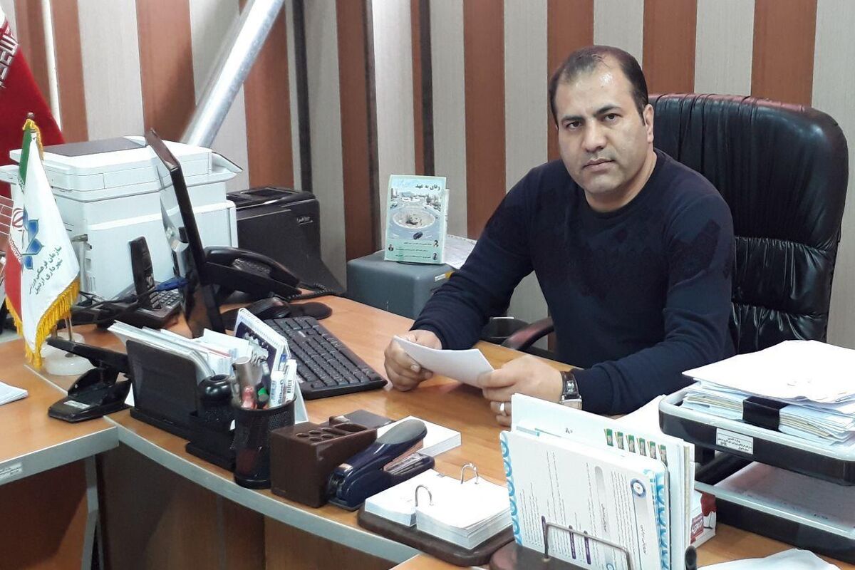 وحید افشار