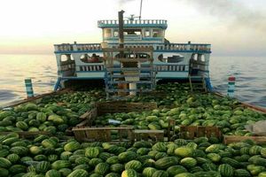 افزایش صادرات آب مجازی با خواب متولیان