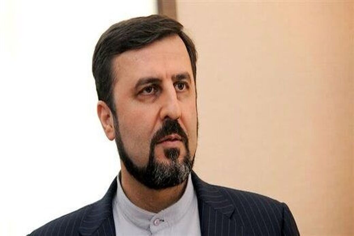 دبیر ستاد حقوق بشر ایران