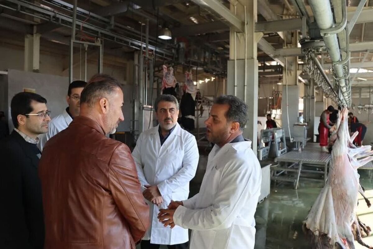 دیوان محاسبات استان 