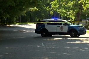 تیراندازی مرگبار در یک فستیوال غذایی در آمریکا