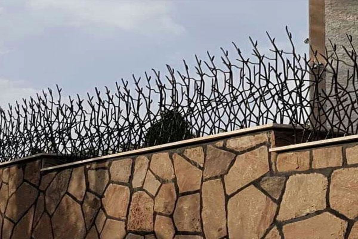 حفاظ شاخ گوزن