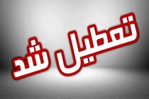 فردا 20 بهمن تمامی ادارات و مدارس تهران تعطیل شد