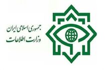 سرکرده یک گروهک تروریستی به هلاکت رسید