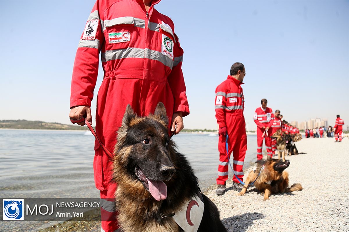 مانور سگ های امداد و نجات هلال احمر