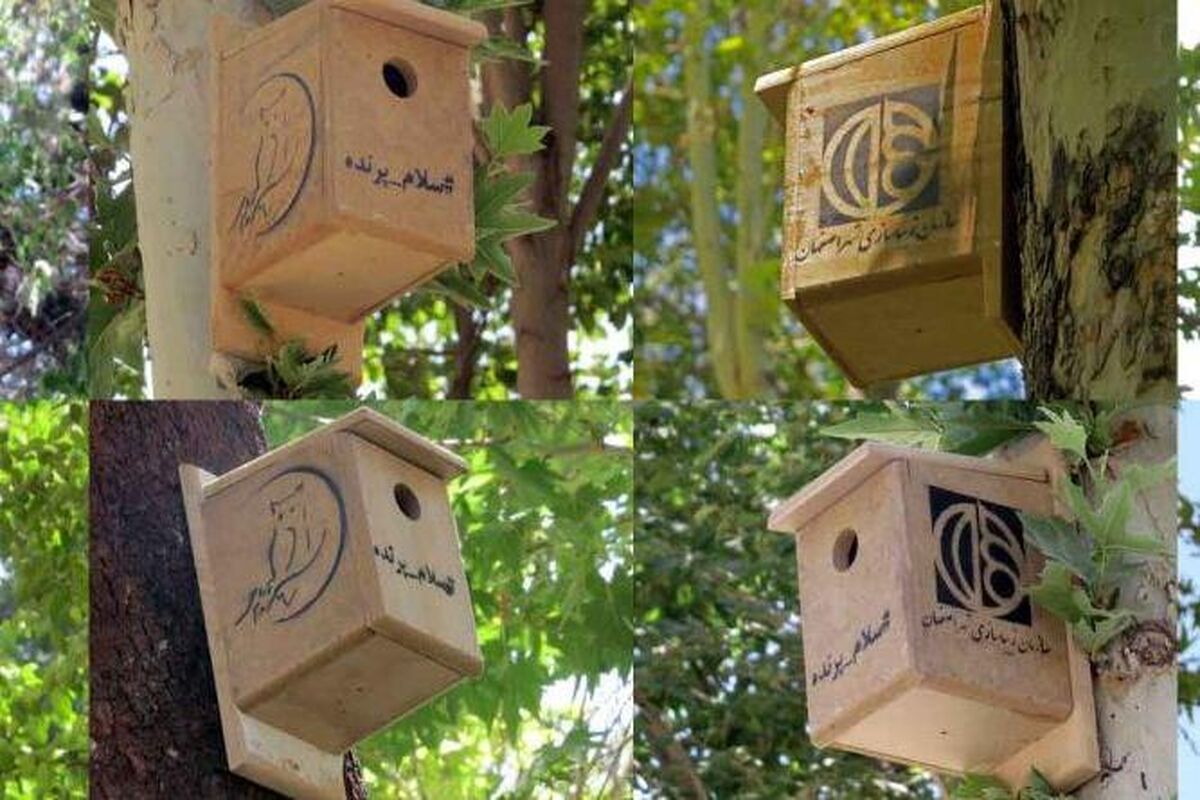شهرداری