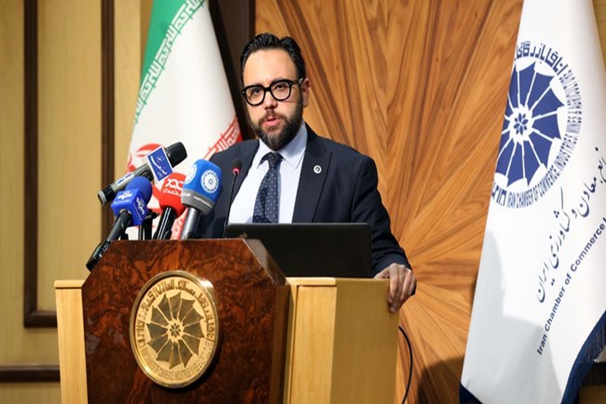 مرتضی حاجی‌آقا میری در همایش توسعه تجارت فرش دستباف و صنایع دستی