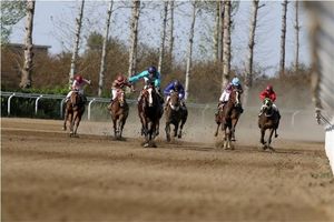 برگزاری هفته دوازدهم مسابقات اسبدوانی کورس پاییزه کشور در گنبدکاووس 