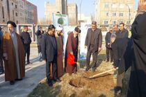  مشارکت مردمی در درختکاری نشانه توجه به محیط زیست است