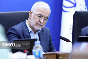 در انتخابات تناسبی صدای همه احزاب در شوراها شنیده می‌شود