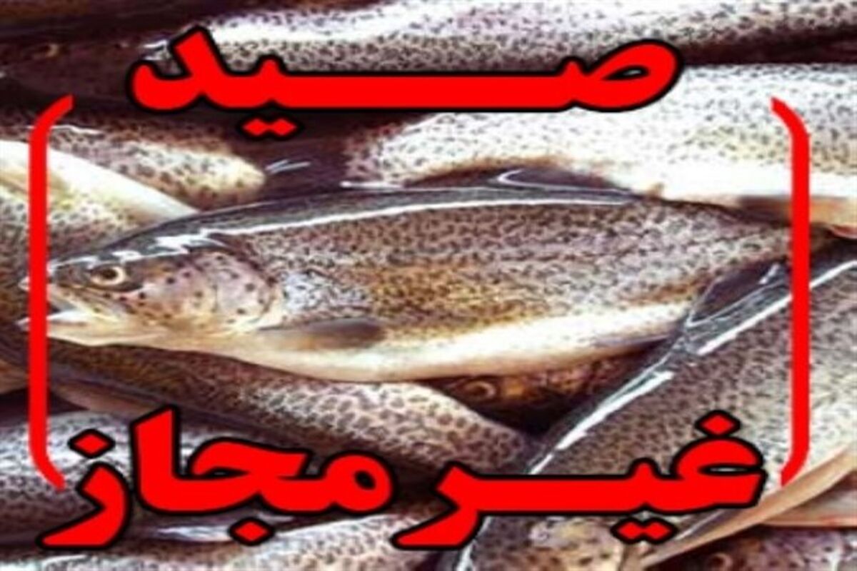 اصفهان- صید غیر مجاز