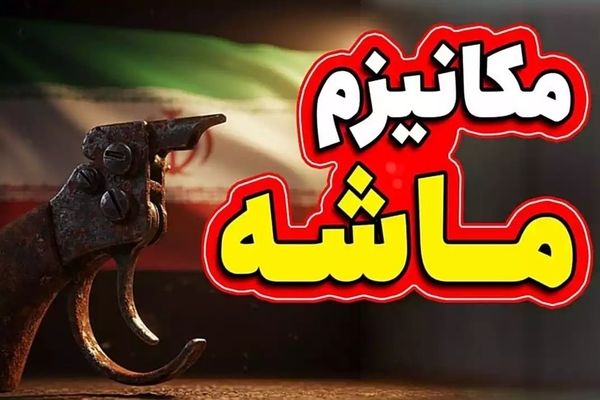 روایت وزیر کشور دولت سازندگی از مکانیسم ماشه+ فیلم