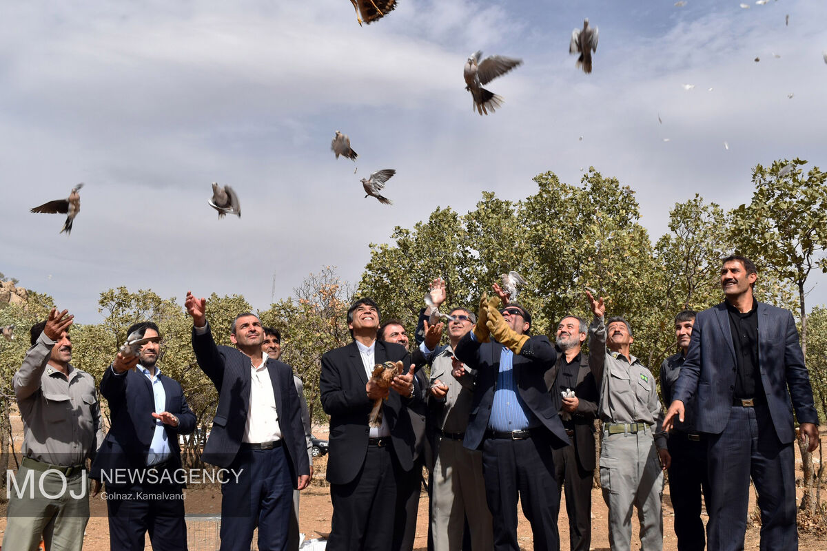 استاندار لرستان رهاسازی پرندگان وحشی