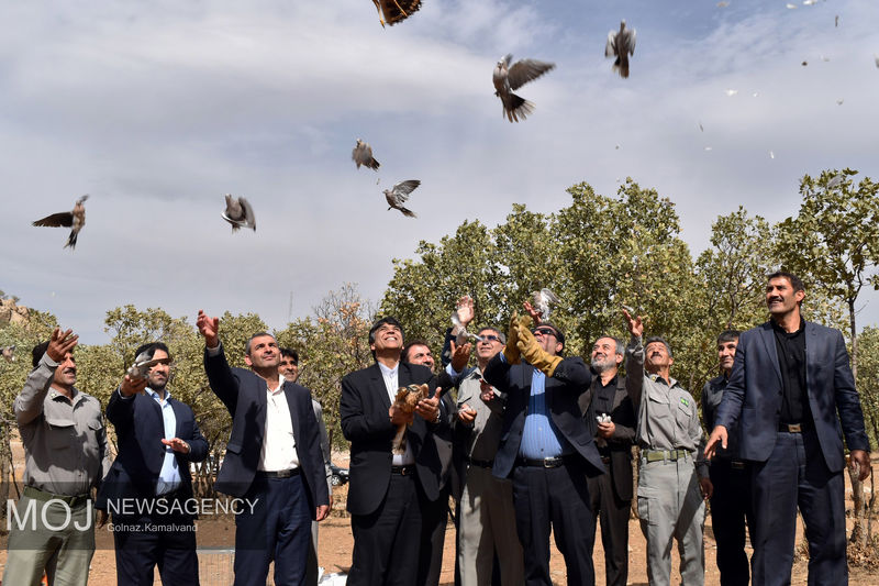 آئین رهاسازی پرندگان وحشی مکشوفه از قاچاقچیان با حضور استاندار لرستان برگزار شد