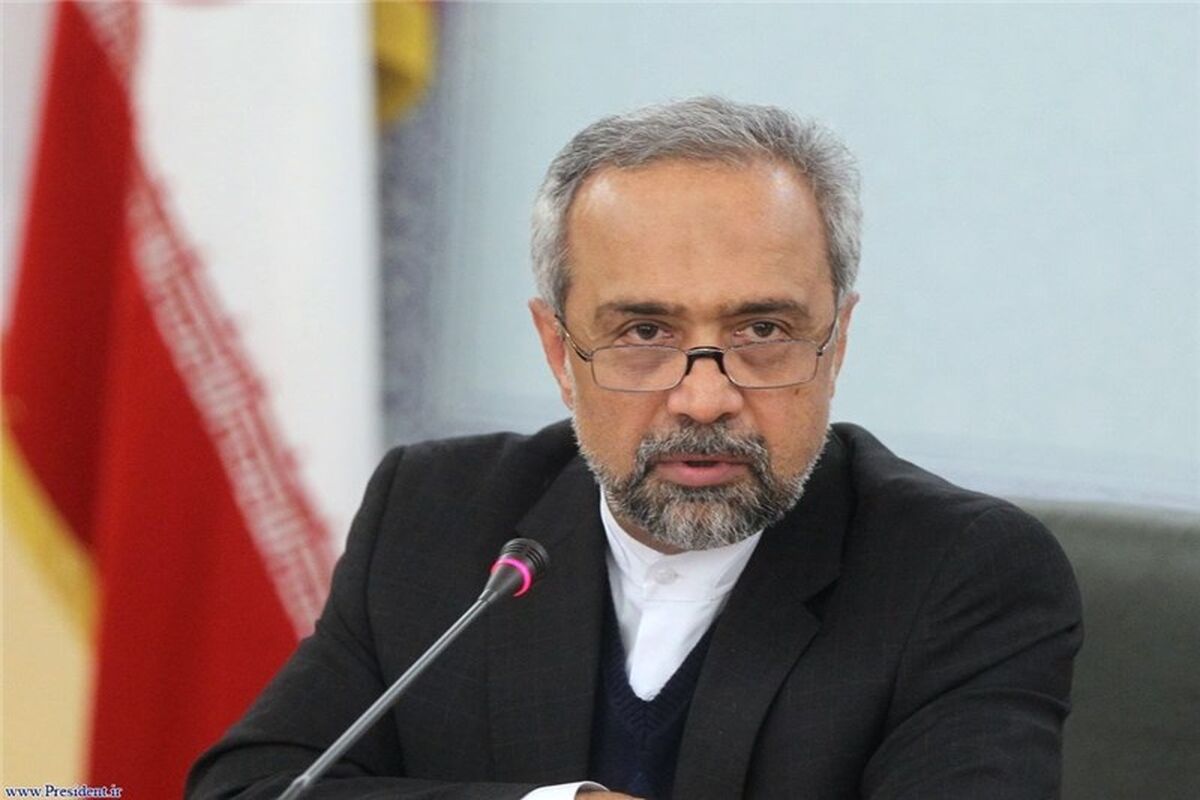 معاون اقتصادی رئیس جمهوری ایران