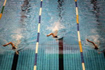 دعوت از شناگران خراسان رضوی به اردوی انتخابی تیم ملی در تهران