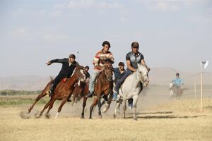 روز دوم از هفته هفتم مسابقات اسبدوانی بهاره گنبدکاووس برگزار شد