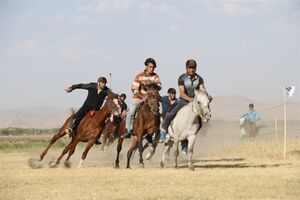  ۵۰۰ میلیارد ریال برای احداث شهرک اسب سواری شوش تخصیص شد