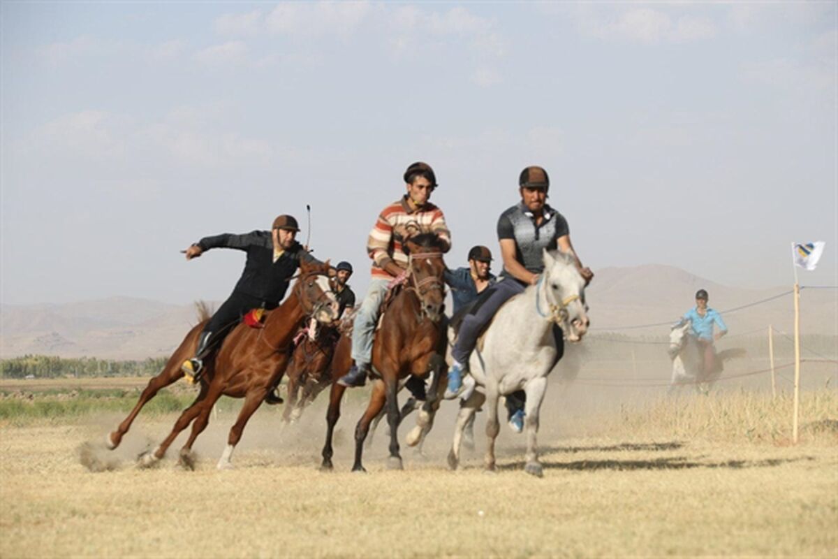 اسب سواری