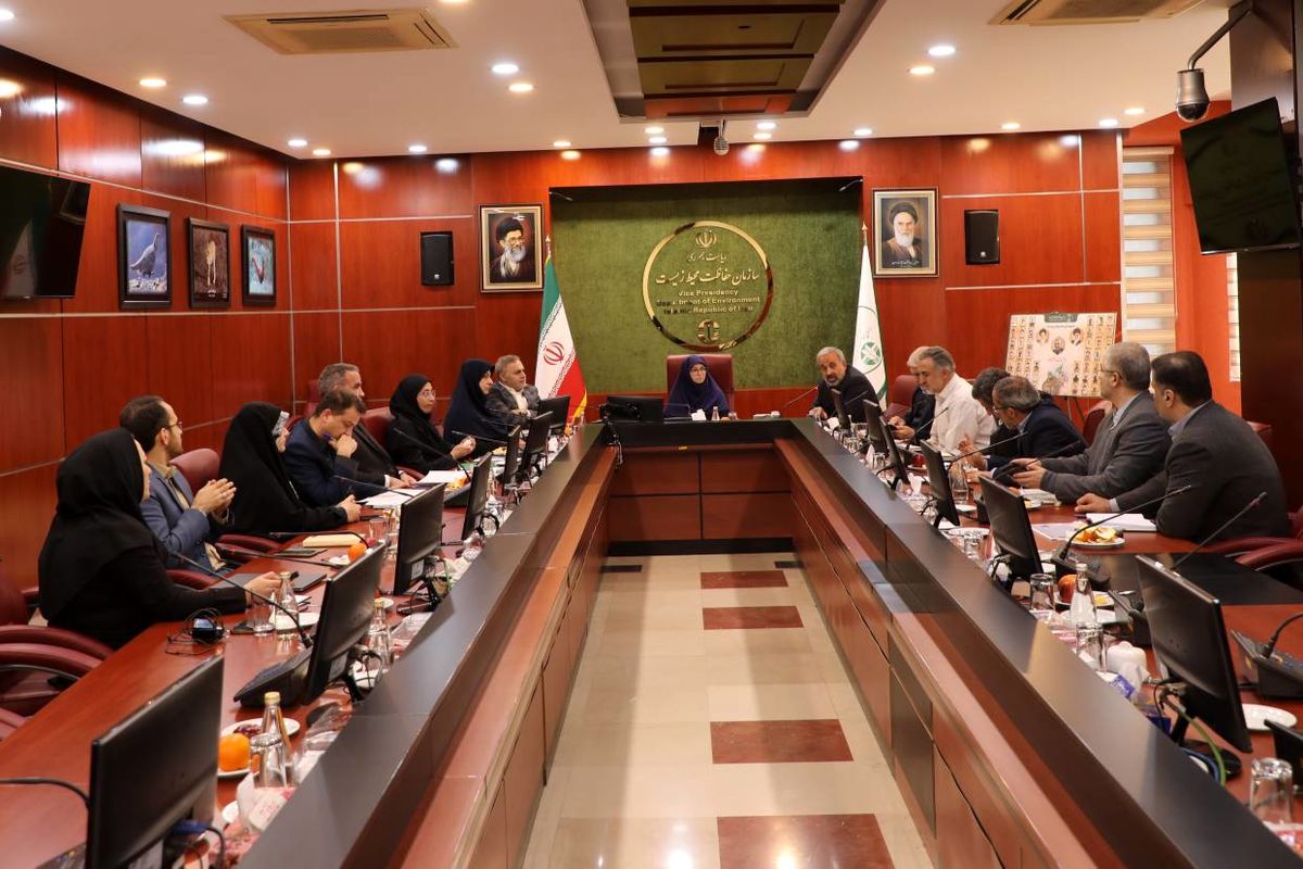 رئیس سازمان حفاظت از محیط زیست