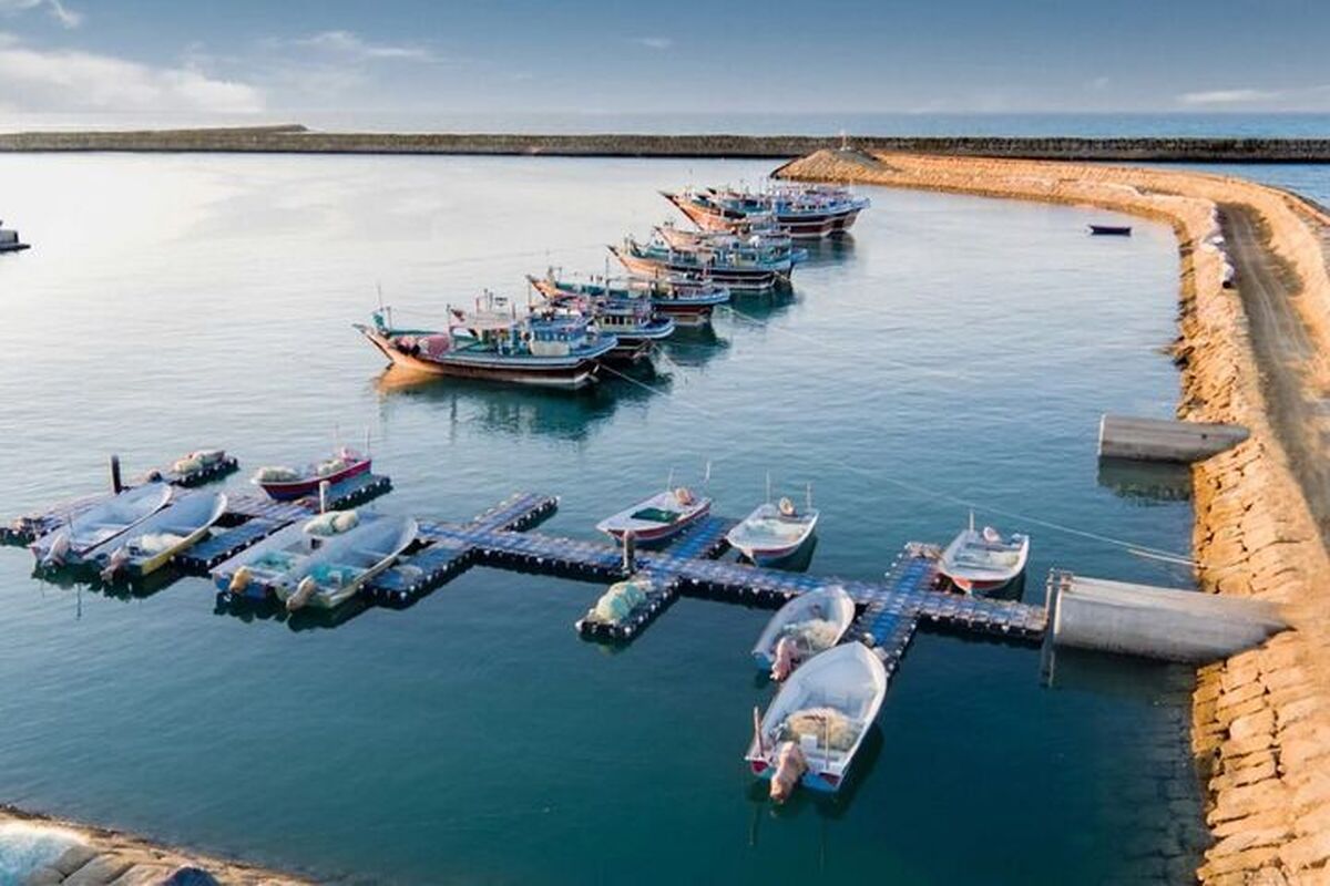 شیلات 