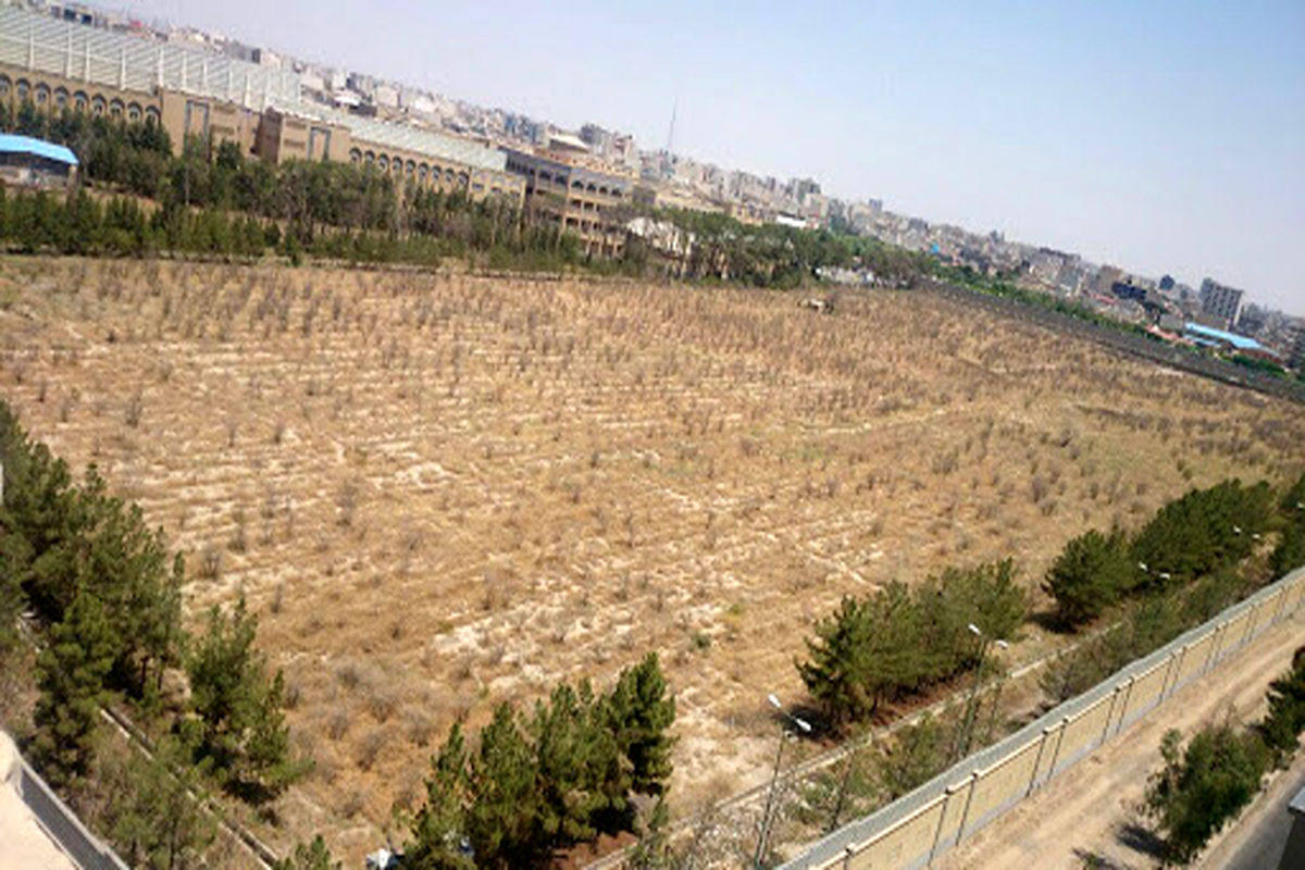 باغ سالاریه قم