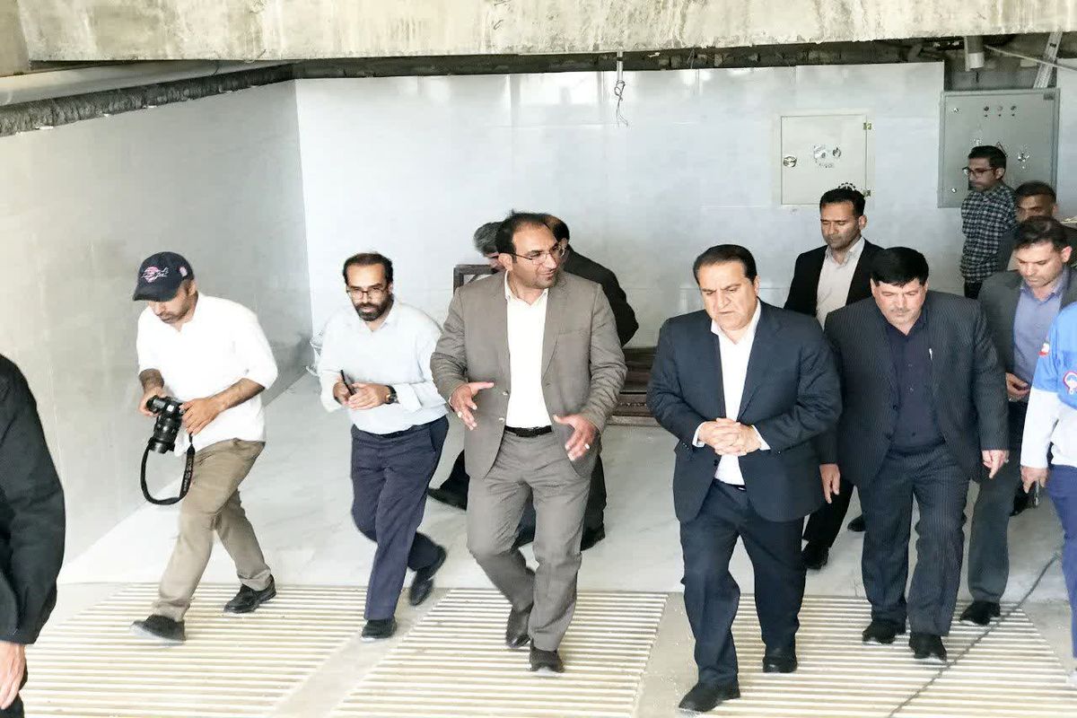 بازدید