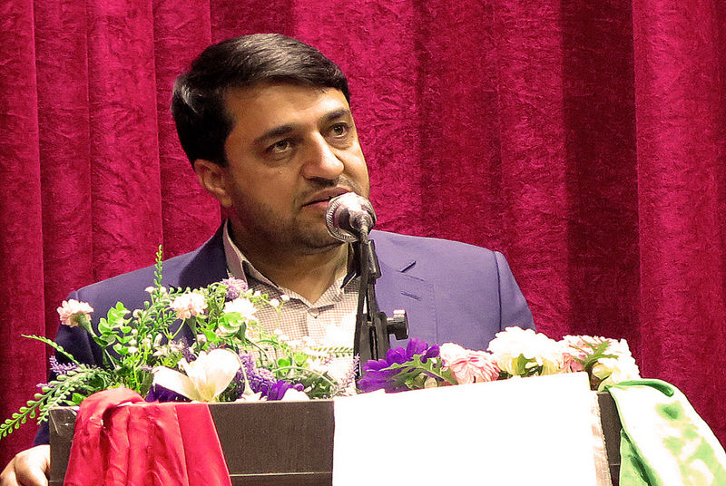 55 درصد خانوار تحت حمایت در استان فارس دارای سرپرست زن هستند