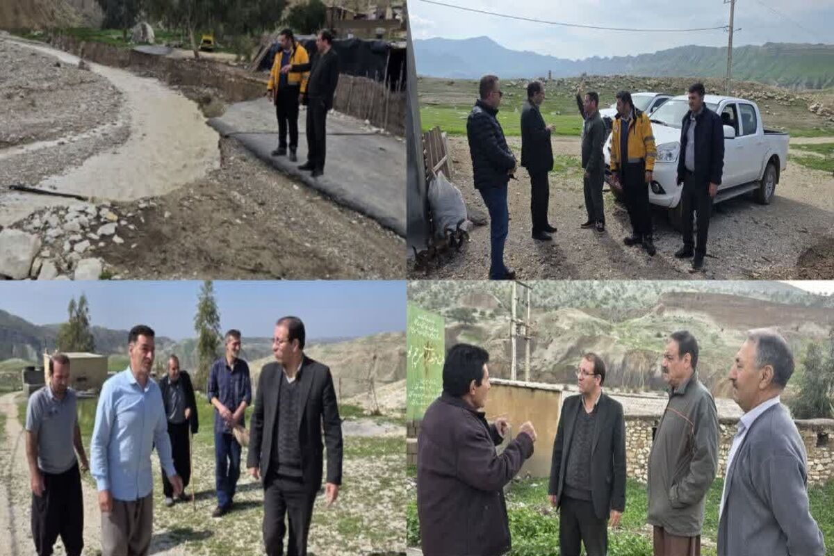 بازدید