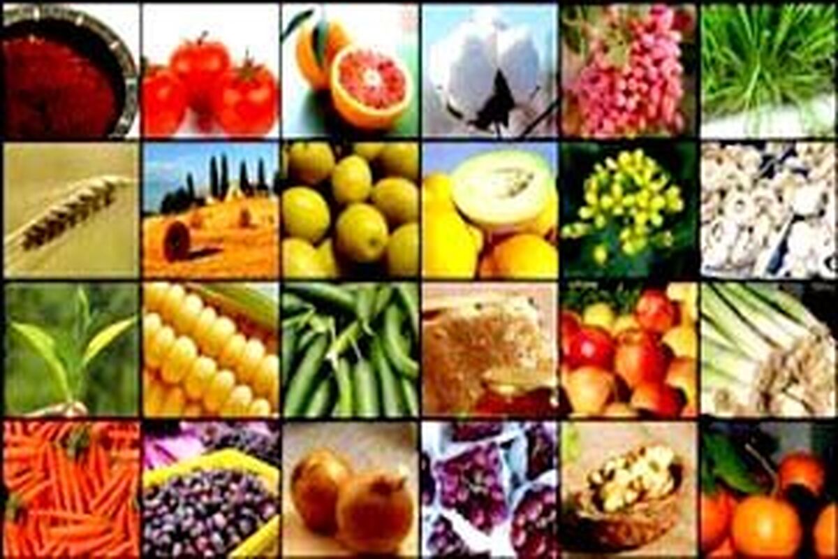 محصول کشاورزی