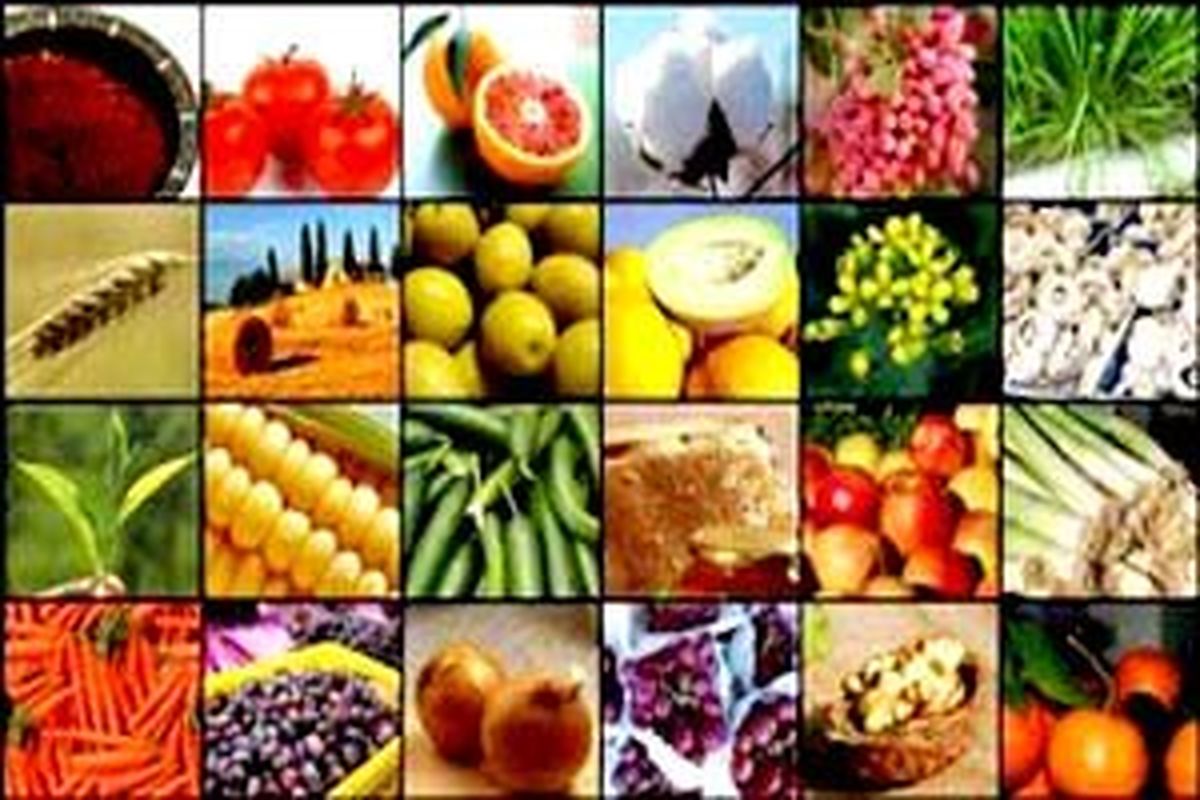 محصول کشاورزی