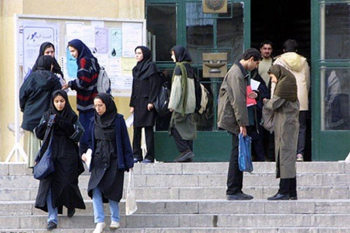 دانشجو