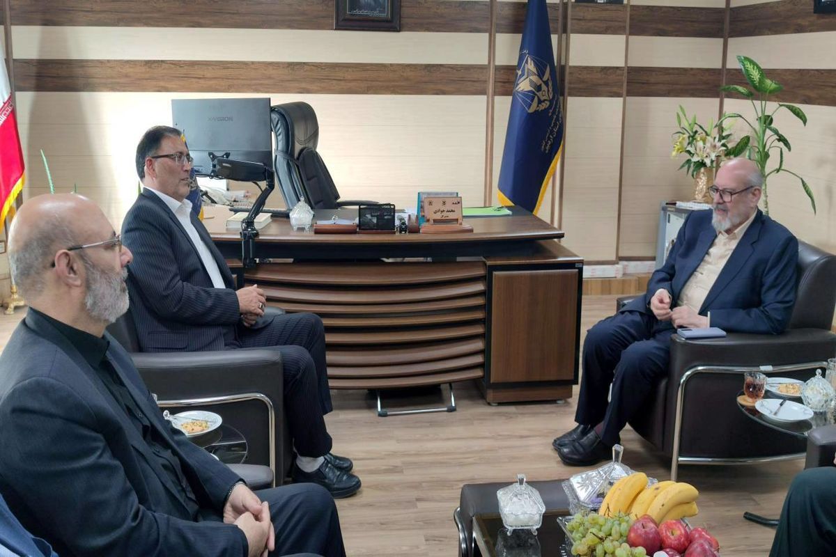 مدیر عامل ستاد دیه کشور در اردبیل